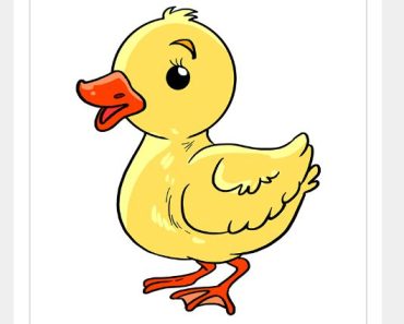 How To Draw a Baby Duck Step by Step – Easy drawing Baby Duck