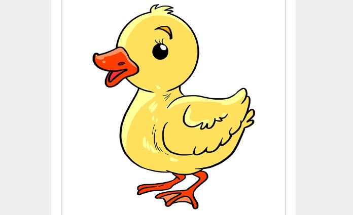 How To Draw a Baby Duck Step by Step