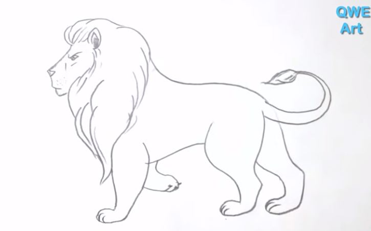 How to Draw a Lion Step by Step