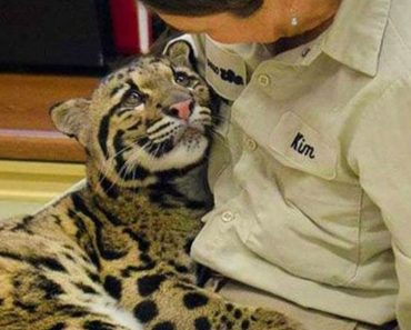 Proof animals are as affectionate as humans