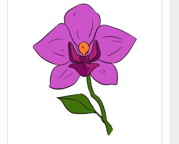 Easy drawing an Orchid step by step