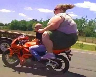 Funny failure latest video – Try not to laugh