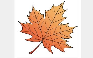 How to draw a realistic leaf step by step