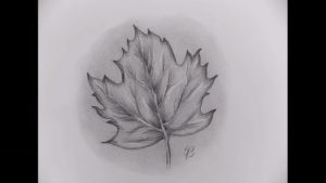 How to draw a realistic leaf step by step
