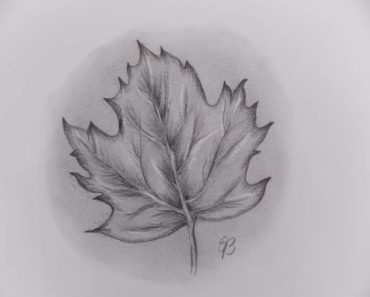 How to draw a realistic leaf step by step