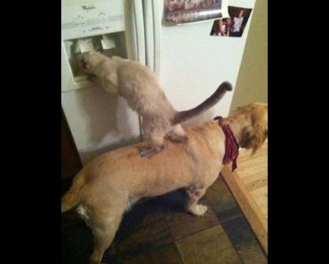 Great friends