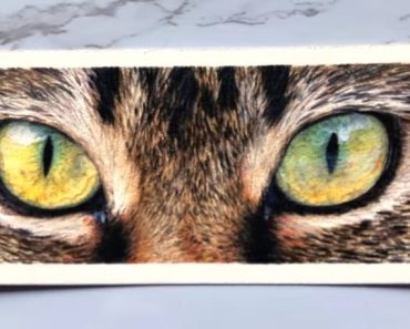 How to draw realistic cat eyes with colored pencils – Draw cat eyes