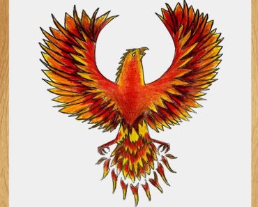 Easy Phoenix drawing step by step
