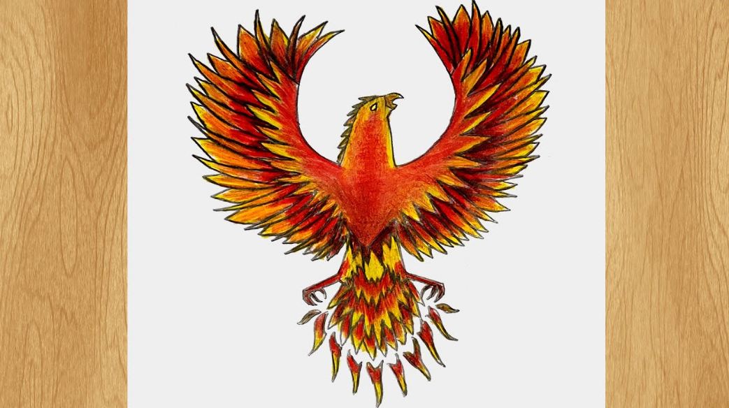 Easy Phoenix drawing step by step