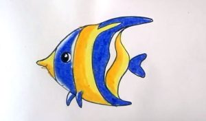How to draw a tropical fish step by step