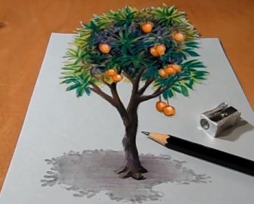Easy Mango Tree Drawing Step by Step – Draw a mango tree in 3D