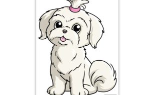 How to Draw a Maltese Dog Step by Step