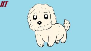 How to Draw a Maltese Dog Step by Step