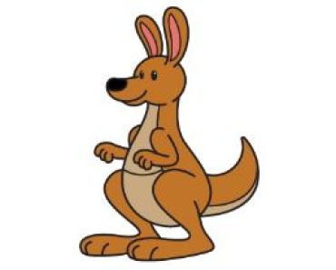 How to Draw a Kangaroo step by step
