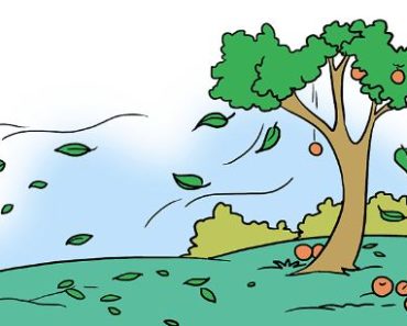 How to Draw a Fall Scenery step by step