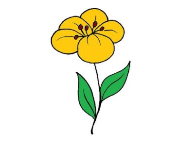 How to Draw a Pretty Flower step by step