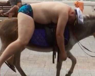 The stupidest people in the world – The funniest moments