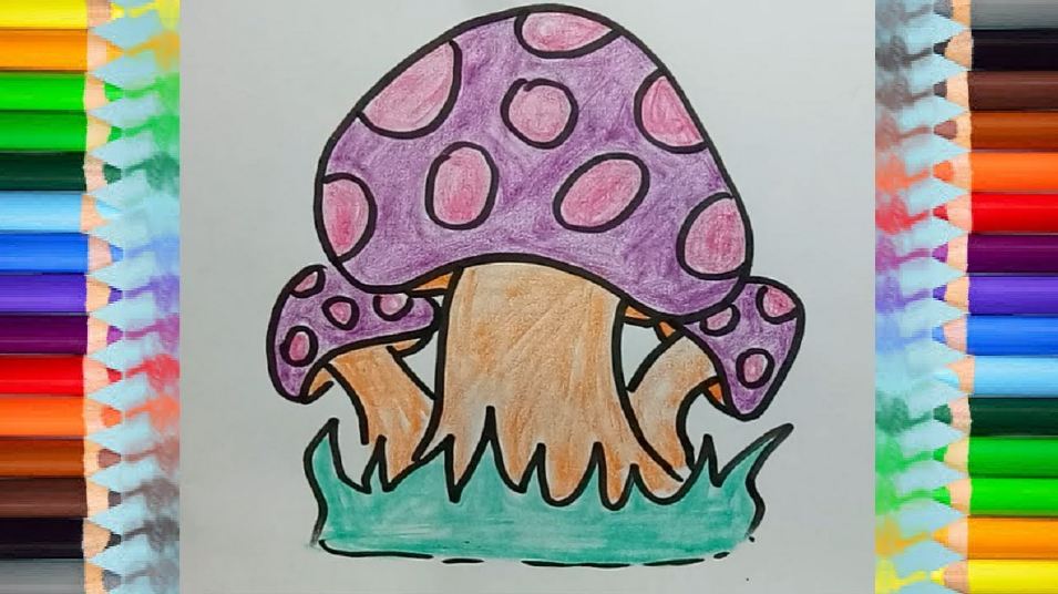 How to Draw Mushroom step by step