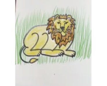 How to Draw a Lion using numbers 2 step by step