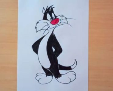 How to draw Sylvester the cat step by step