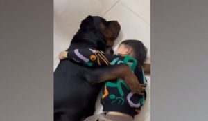 Dogs are the best nannies