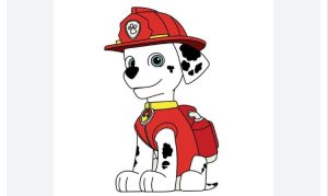 How to Draw Tracker from Paw Patrol step by step