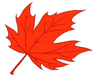 How to Draw a Maple Leaf step by step