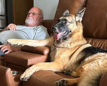 When you can’t believe how funny your pet is.