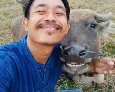 Funny friendly animals