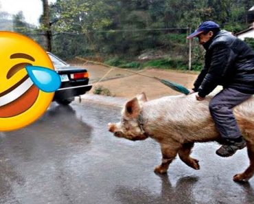 Latest funny failure – Funny video