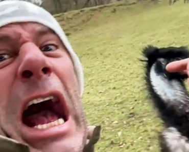 The world’s funniest failure – Video failure