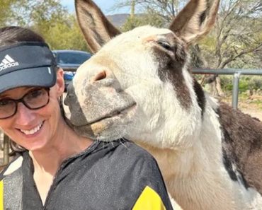Love between animals and humans