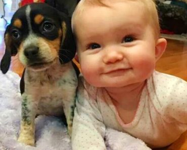 When your dog and baby are best friends