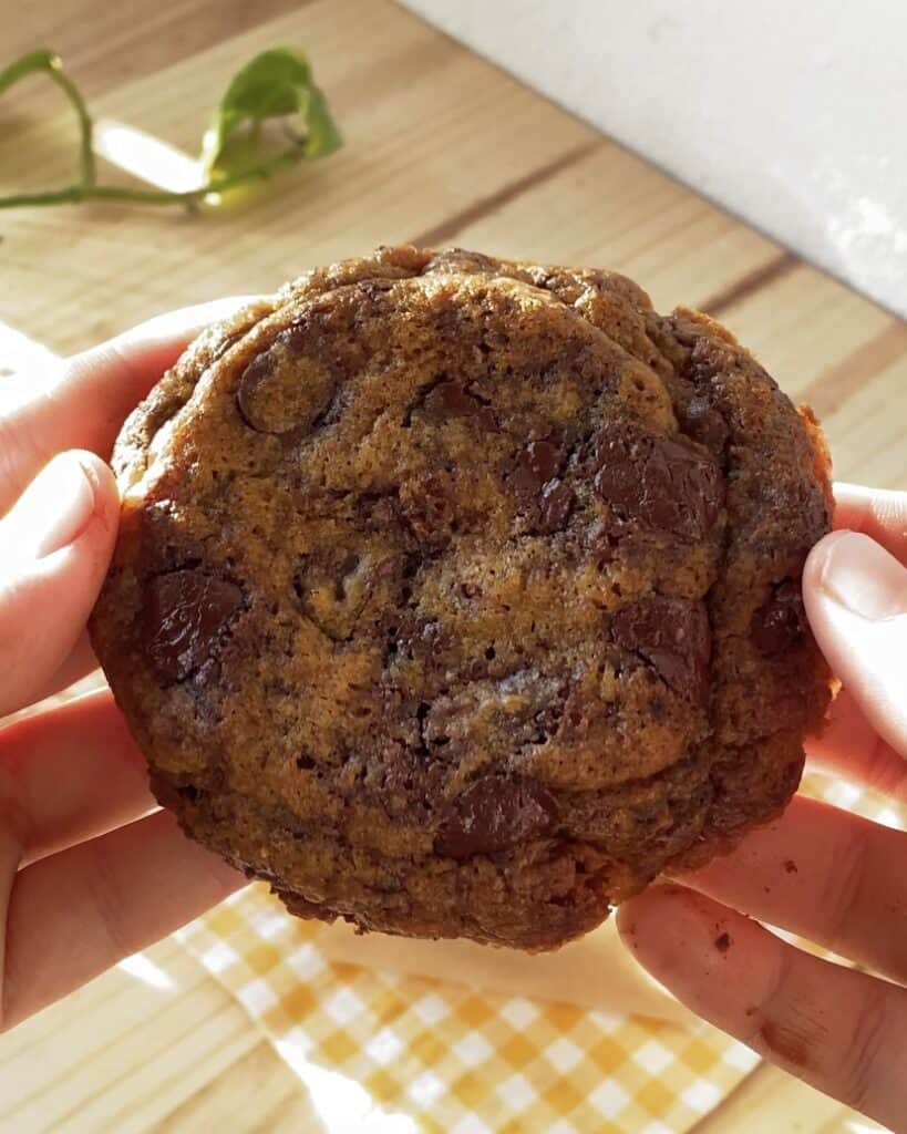 Close-up of a chocolate chip cookie with visible chocolate chips and a slightly crispy edge