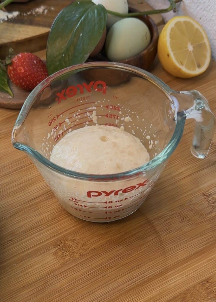 Activated dry yeast mixture in a bowl with water and sugar for Nutella heart donut dough