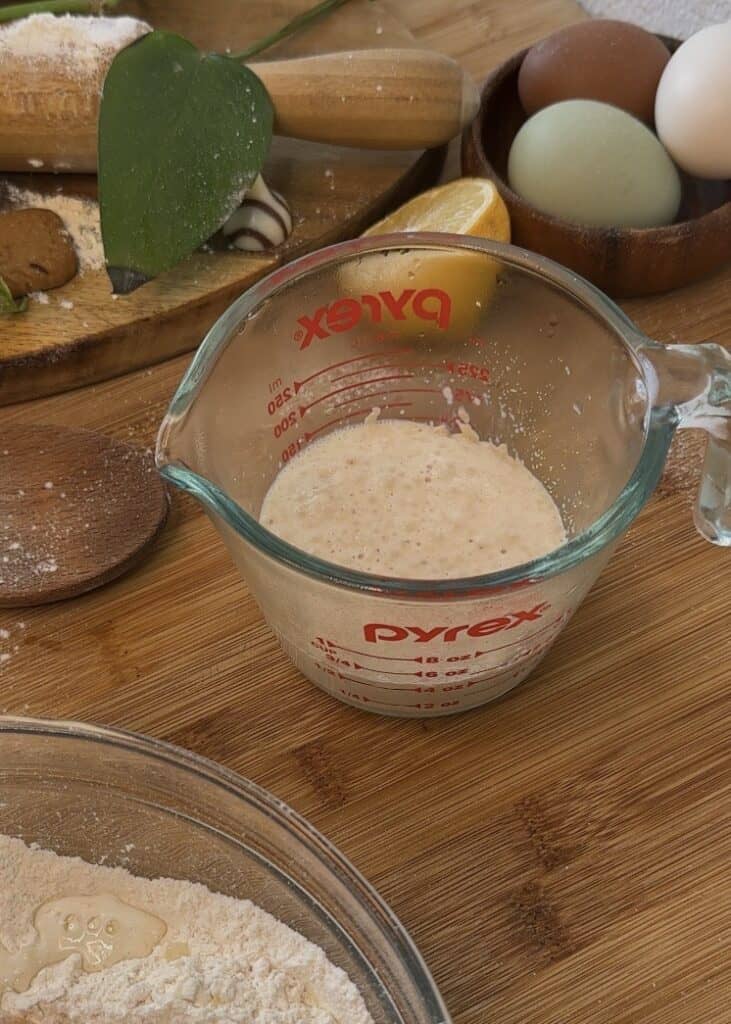 Activated dry yeast for homemade pistachio donuts, ready for baking