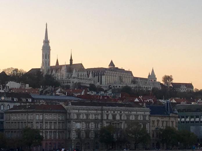 46449467 10212633603771439 400067764011663360 n 46449467 10212633603771439 400067764011663360 n