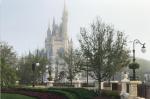 Help! I Lost Something at Walt Disney World – What Do I Do? 49344587 10215309103375799 7331333973966061568 o