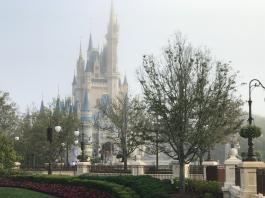 49344587 10215309103375799 7331333973966061568 o