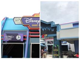 IMG 2465 COLLAGE opt