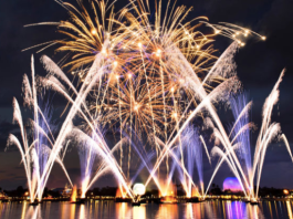 Screen Shot 2019 01 31 at 8.47.07 PM