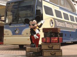 Magical Express landscape