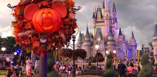 WDW FallDecor