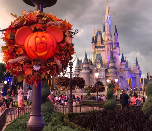WDW FallDecor