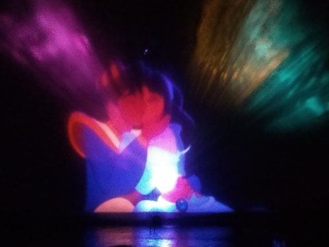 fantasmic 8