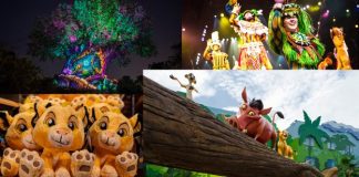 animal kingdom collage