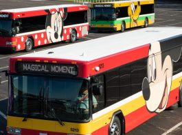 omnbhgcfdretFI 768x432