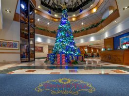 paradise pier holidays