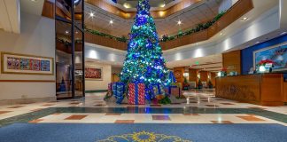 paradise pier holidays