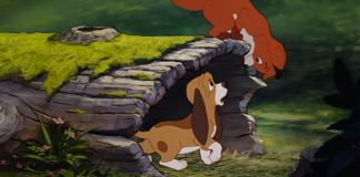 the fox and the hound 800x400